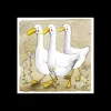 Alex Clark Art Ltd Kitchen And Dining | Tableware*Alex Clark - Dillard, Dudley and Bill Coaster