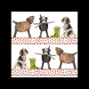 Alex Clark Art Ltd Kitchen And Dining | Tableware*Alex Clark Coaster - Country Dogs