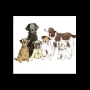 Alex Clark Art Ltd Kitchen And Dining | Tableware*Alex Clark Coaster - Dogs Together