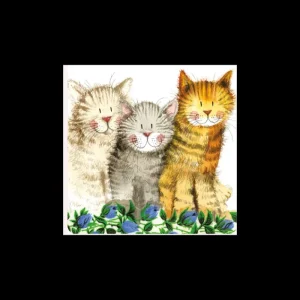 Alex Clark Art Ltd Kitchen And Dining | Tableware*Alex Clark Coaster - The Three Amigos