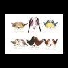 Alex Clark Art Ltd Kitchen And Dining | Tableware*Alex Clark Placemat - Garden Birds