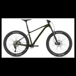 GIANT Mens*Fathom 2 Phanton Green 2022 - Medium