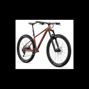 GIANT Mens*Fathom 29Er 2 Terracotta 2023 - Medium