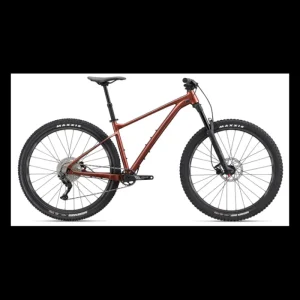 GIANT Mens*Fathom 29Er 2 Terracotta 2023 - Medium