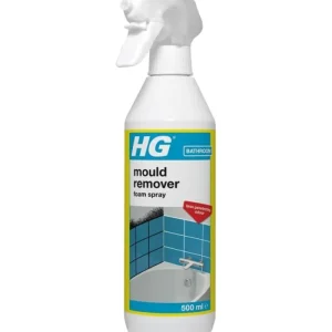 Hg Cleaning Products*Mould Remover Foam Spray