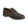 Hoggs Of Fife Ltd Shoes*Hoggs Inverurie Shoe Brown