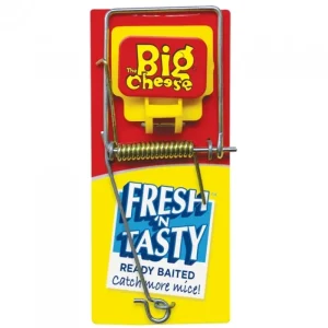The Big Cheese Mouse And Rat Traps | Pest Control*Fresh Baited Mouse Trap