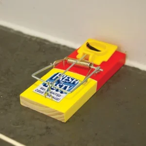 The Big Cheese Pest Control | Insect & Pest Control*Fresh Baited Mouse Trap 2 pack
