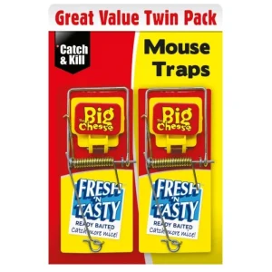 The Big Cheese Pest Control | Insect & Pest Control*Fresh Baited Mouse Trap 2 pack