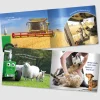 Tractor Ted Books & Dvd`S*A Summer's Day Book