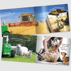 Tractor Ted Books & Dvd`S*A Summer's Day Book
