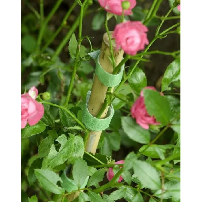 velcro_pre_cut_garden_tie_0.webp Velcro Garden Accessories*Pre Cut Garden Ties
