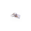 WRENDALEF/C Other*Wrendale Keepsake Tin Daisy Coo