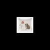 WRENDALEF/C Cushions*Wrendale Square Cushion Awakening Hedgehog